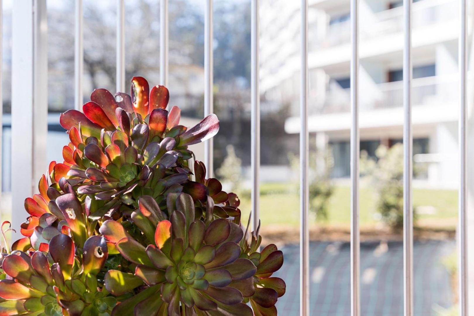 Guestready - Ideal Stay Near Estadio Do Dragao Porto Zewnętrze zdjęcie